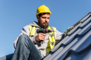 Professional Roofers
